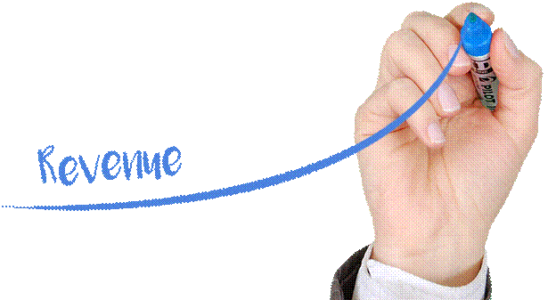 Maximize Business Revenue