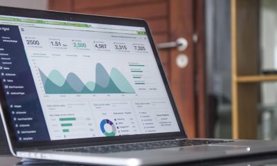 Affordable SEO Services in Pinellas Park FL