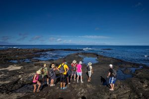  north island billetter og adgangskort