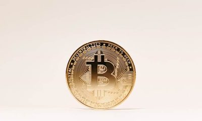 Crypto Crash Gambling
