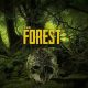 Is Forest a Cross-Platform