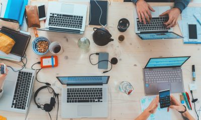 wizzydigital org