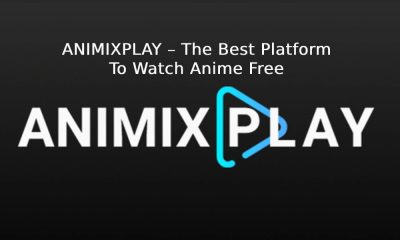 AniMixPlay