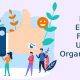 How Can Employee Feedback Uplift The Organization?
