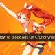 How to Block Ads On Crunchyroll?