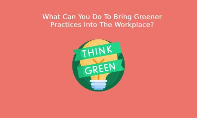 What Can You Do To Bring Greener Practices Into The Workplace?
