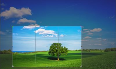 Photo Cropping