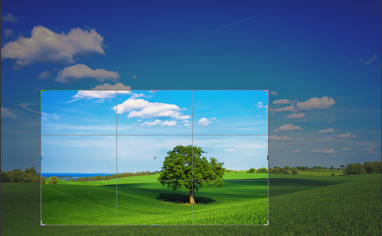 Photo Cropping