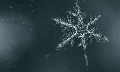 Snowflake Test