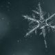 Snowflake Test