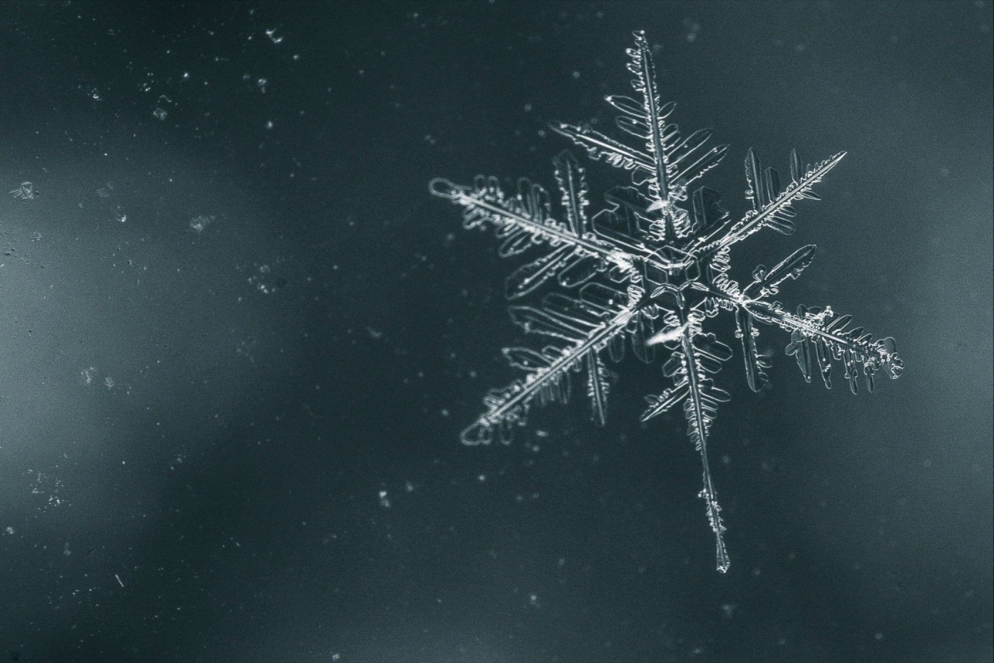 Snowflake Test