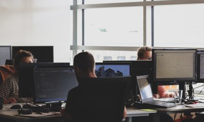 software development