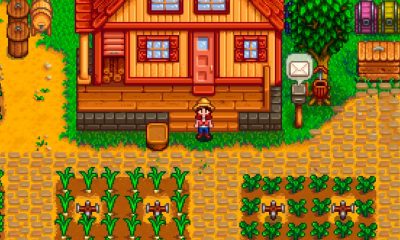 Stardew Valley