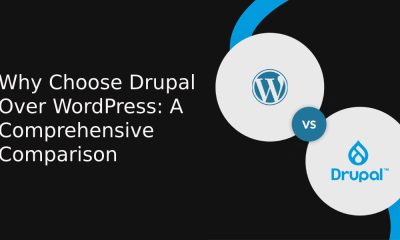 Why Choose Drupal Over WordPress