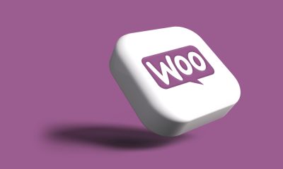 WooCommerce Product Upload Services