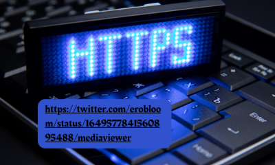 https://twitter.com/erobloom/status/1649577841560895488/mediaviewer
