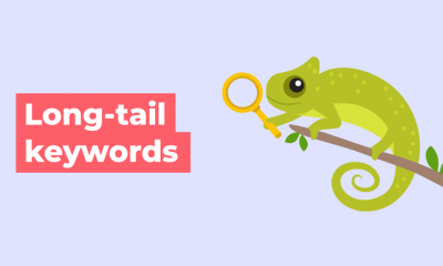 Long Tail Keywords
