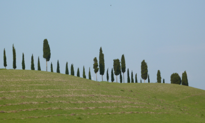 https://viajalejos.net/2021/09/13/florencia-bella-ciudad-en-toscana-italia/