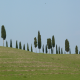 https://viajalejos.net/2021/09/13/florencia-bella-ciudad-en-toscana-italia/