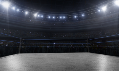 WrestleFap