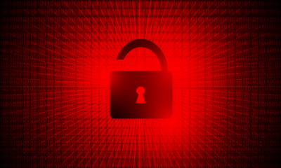 Exploring the Wild World of Anal Pleasure