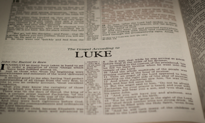 catching up with luke bischel mangabuddy