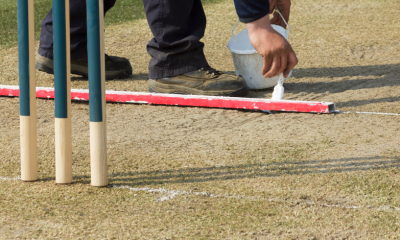 vimps at the crease