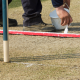 vimps at the crease