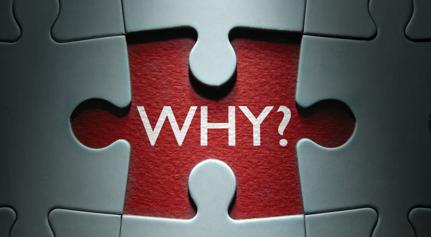 why is david dooley tips the best telegram tipster