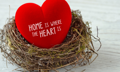 the dangers in my heart 9anime