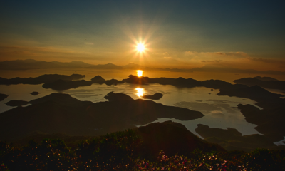 sun haven chocoberry