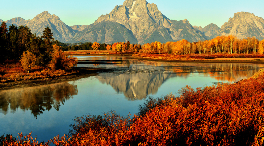 last town: fall of felixia