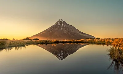 north island billetter og adgangskort