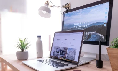Web Development